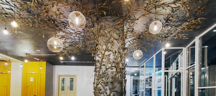 drac albanija hotel bonita