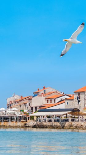 Umag,Croatia : June 8 2016:  the coast and the promontory  where stands the old town.